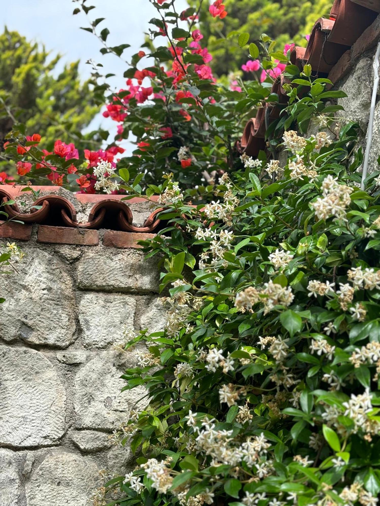 Taşdelen Hotel Alaçatı Buitenkant foto
